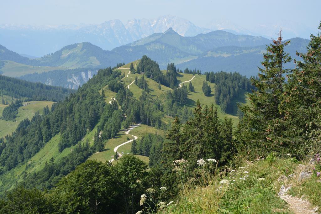 Appart Weisse Urlauben Am Wolfgangsee Санкт Гилген Екстериор снимка